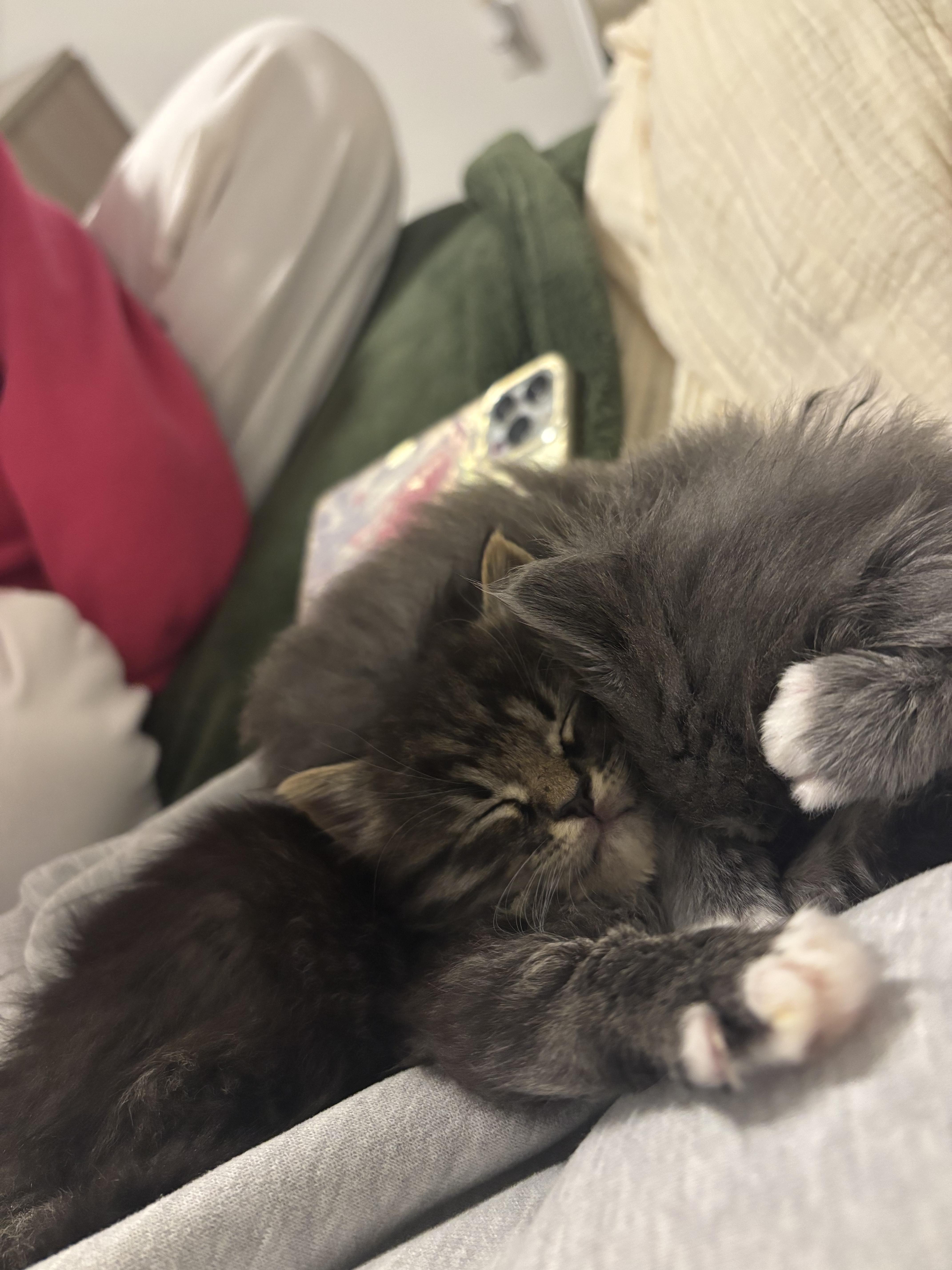 Hugo And Spritz thumbnail 2