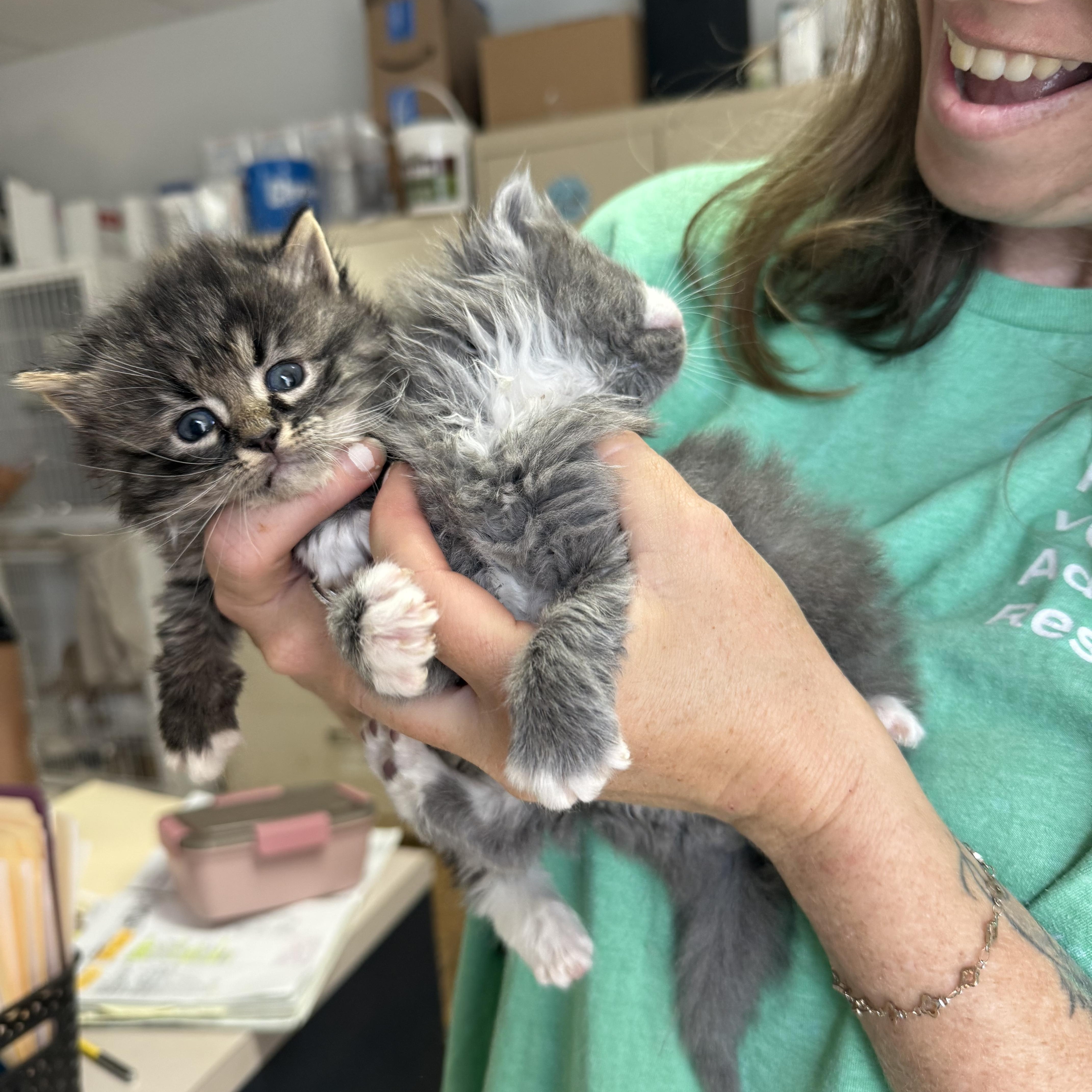 Hugo And Spritz thumbnail 5