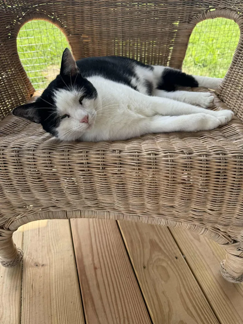 Minnie Ct thumbnail 5