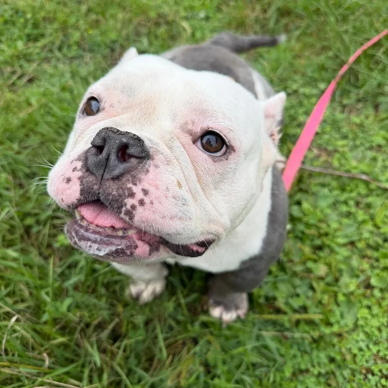 Margot  no longer thumbnail 6