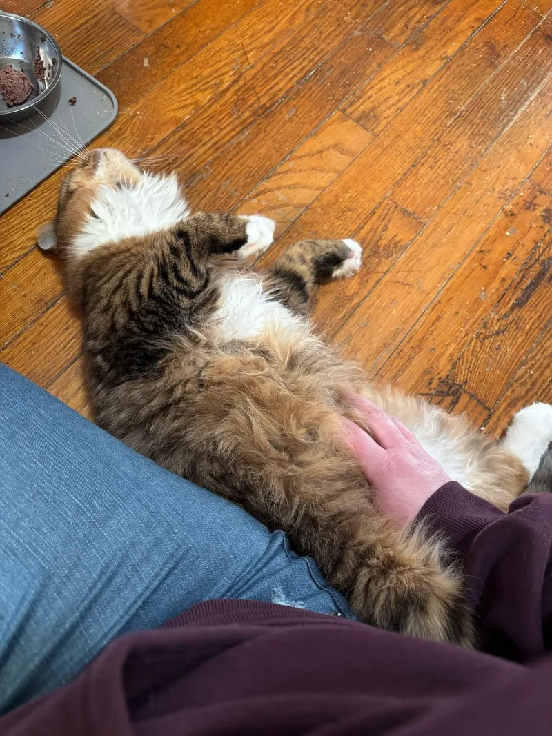 Winston And Edmund thumbnail 2