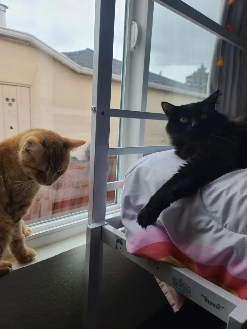 Garfield thumbnail 3