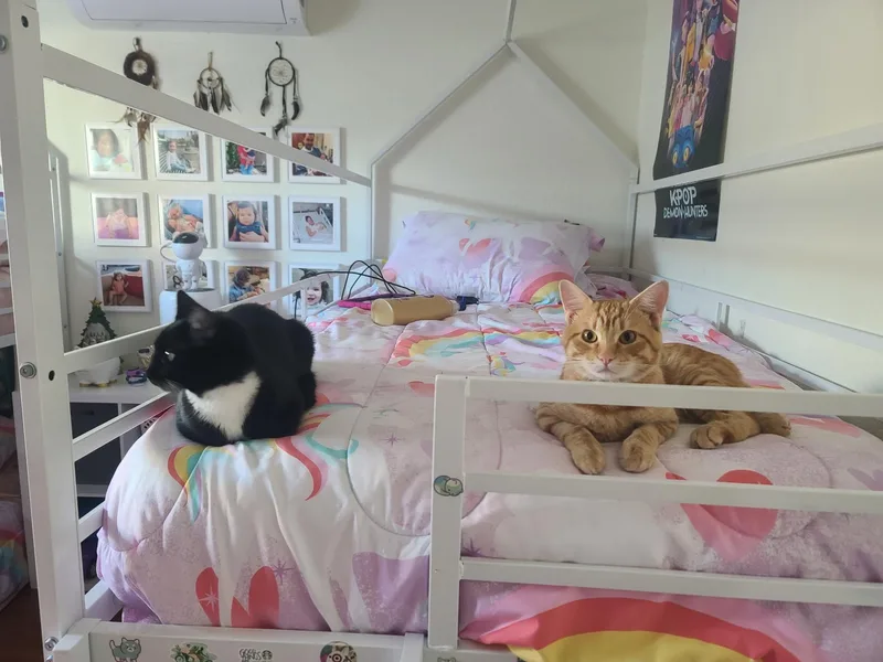 Garfield thumbnail 4