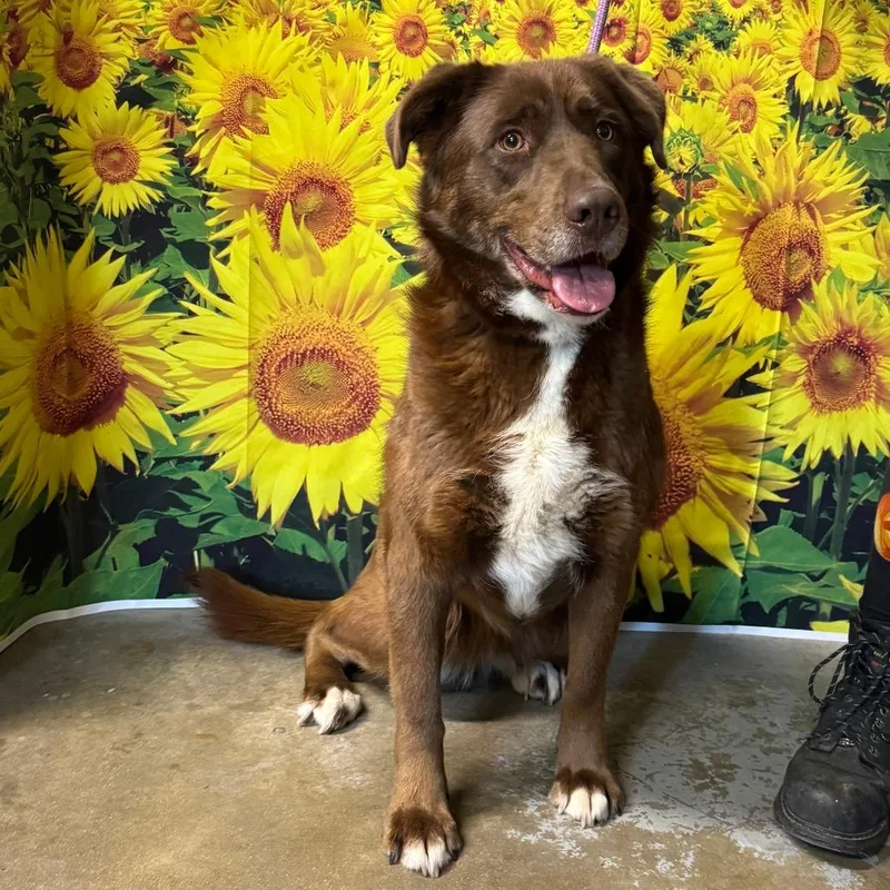 Trixie May thumbnail 2