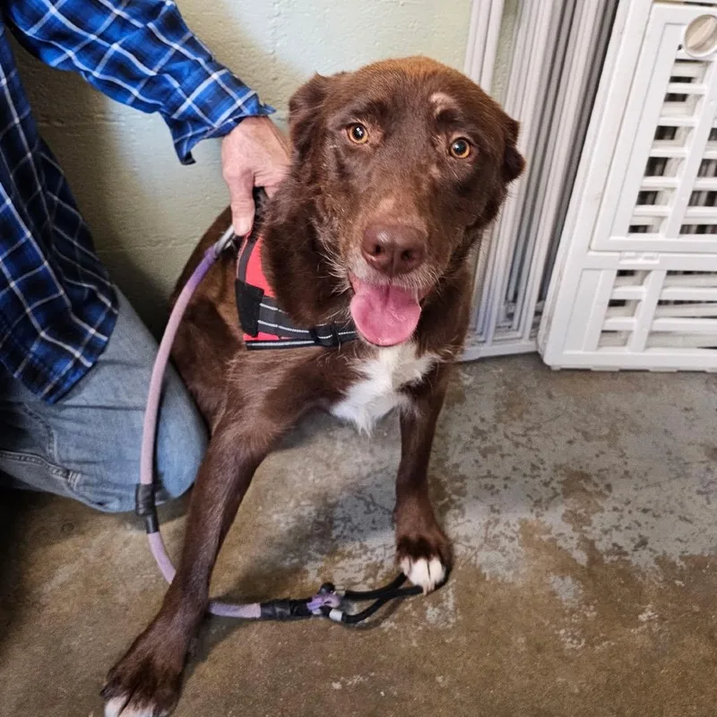 Trixie May thumbnail 3