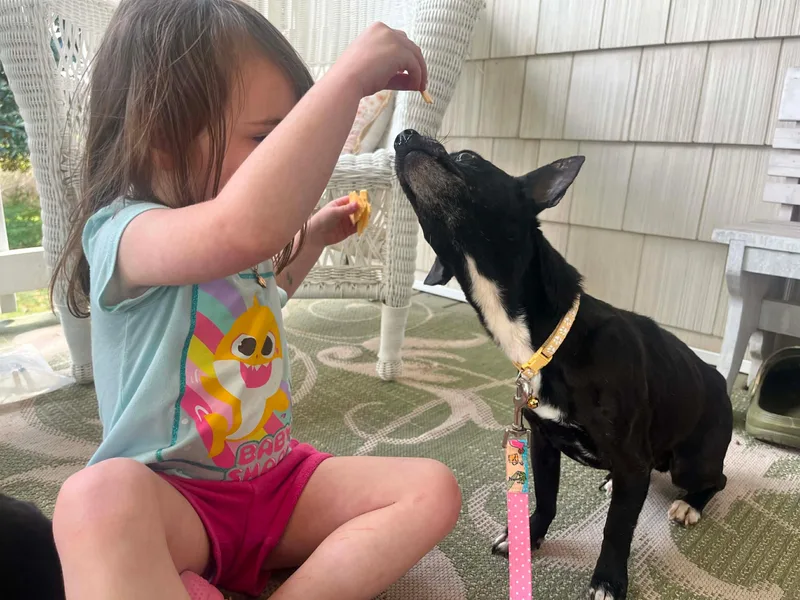 Midnight thumbnail 4