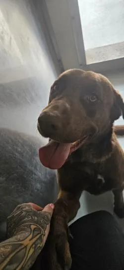 Buster thumbnail 2