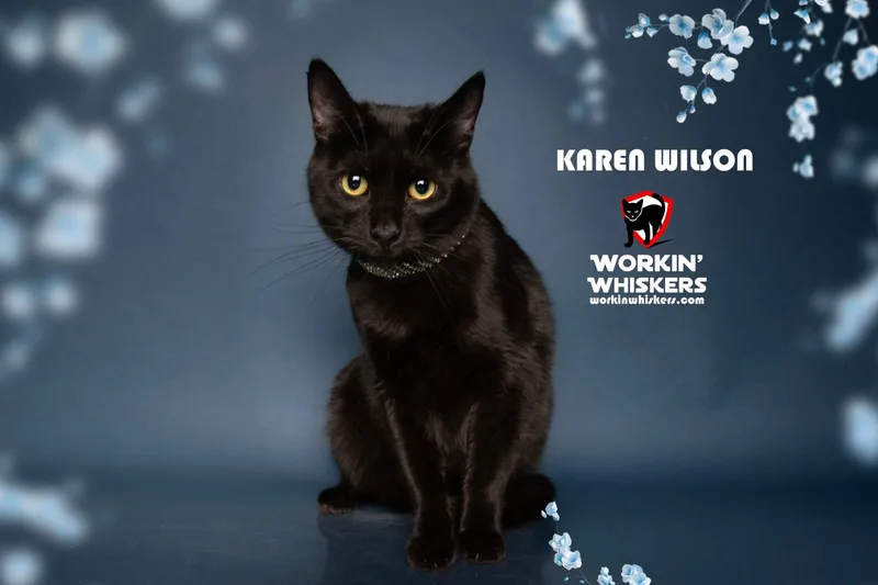 Karen Wilson thumbnail 2