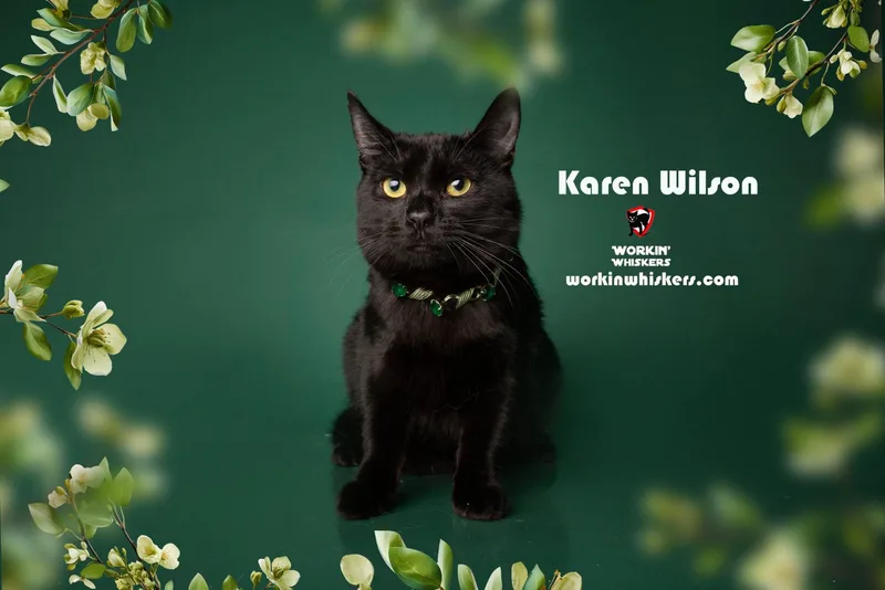 Karen Wilson thumbnail 3