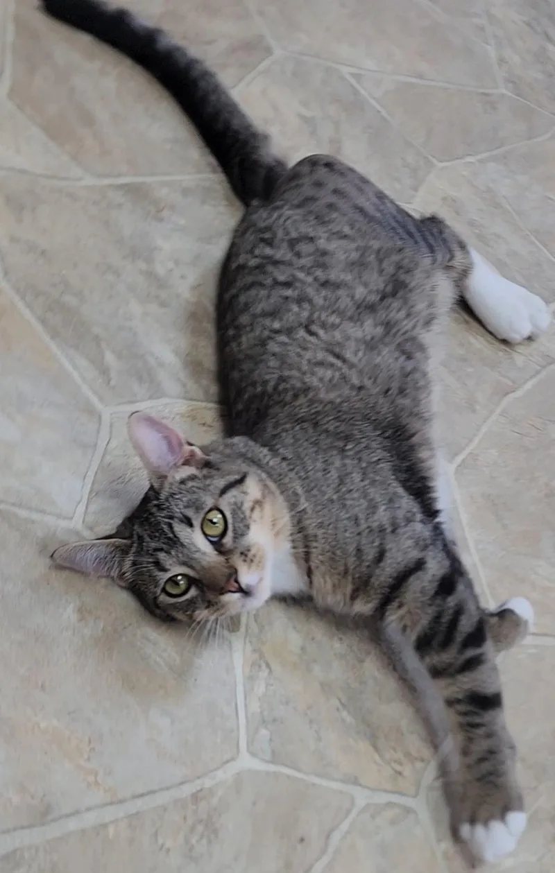 Alfie thumbnail 2