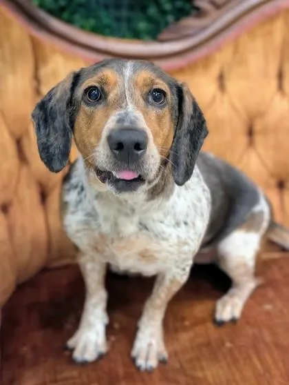 Tilly