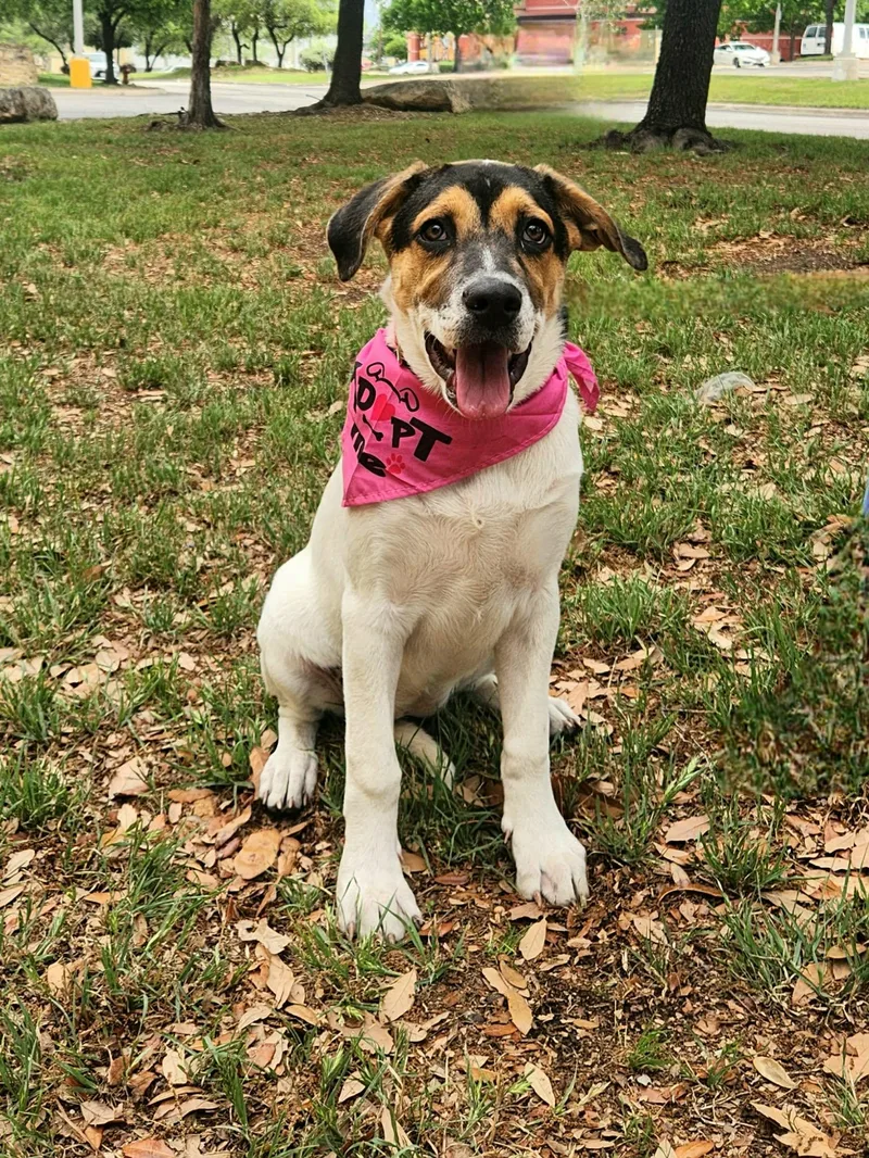 Jenny Jw thumbnail 2