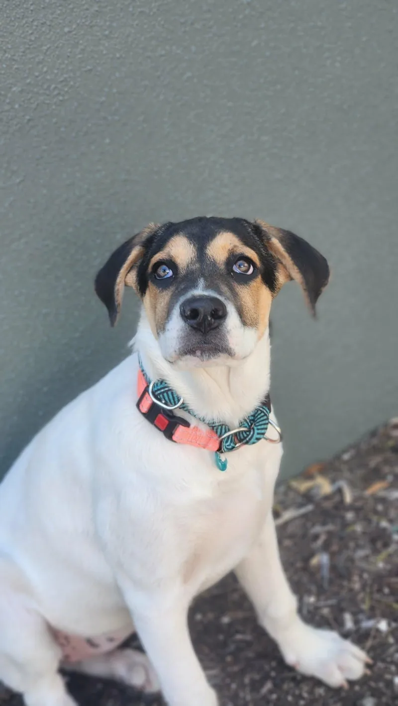 Jenny Jw thumbnail 3