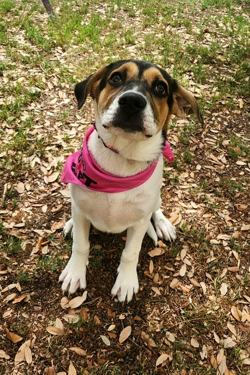 Jenny Jw thumbnail 4