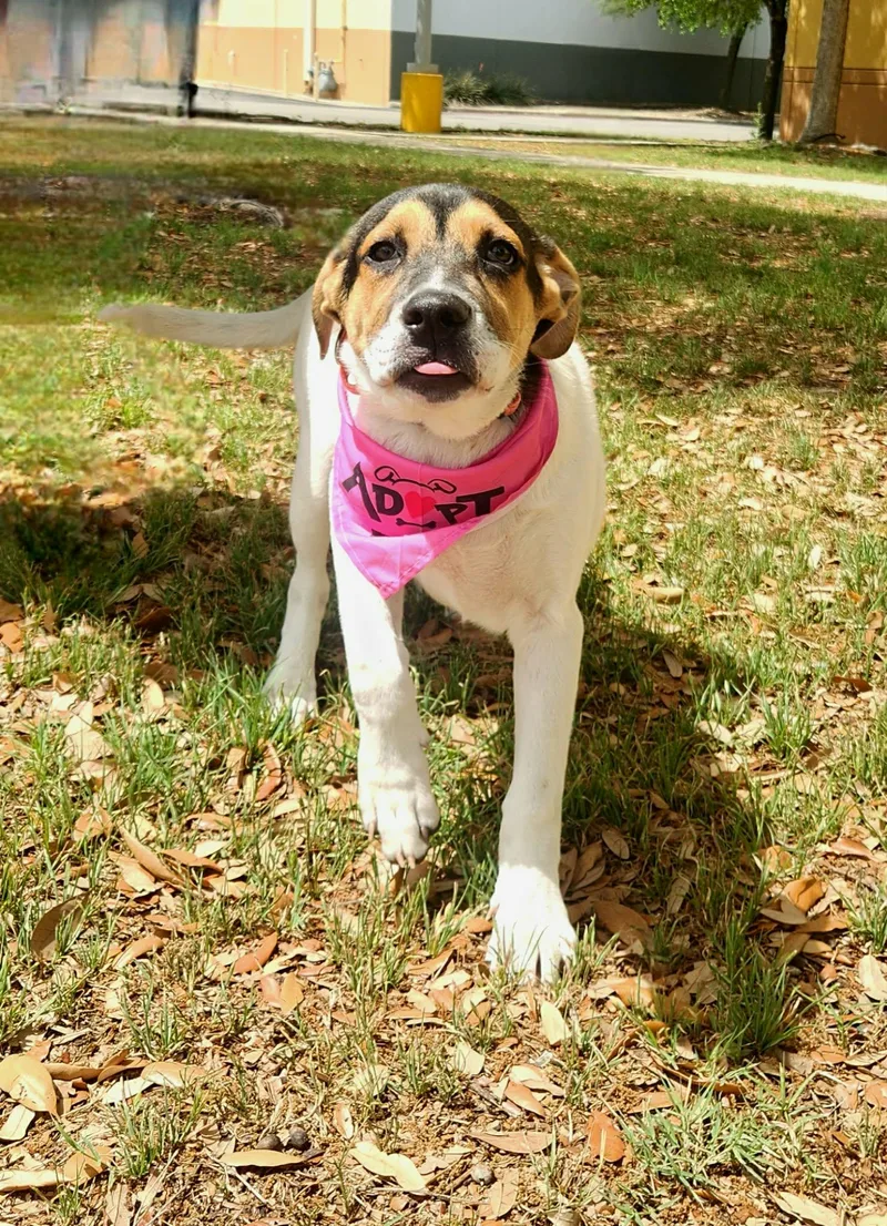 Jenny Jw thumbnail 5