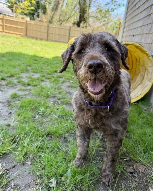 Coco