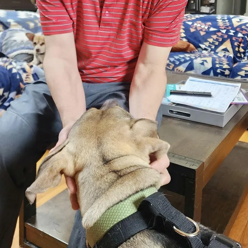 Charlie  Big Hearted thumbnail 4