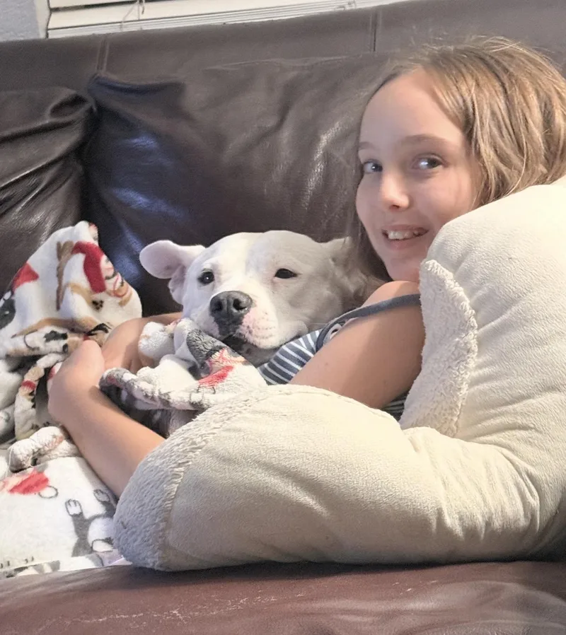 An adult medium-sized female White / Cream Pit Bull Terrier dog named Sierra for adoption in Knightsen, CA
