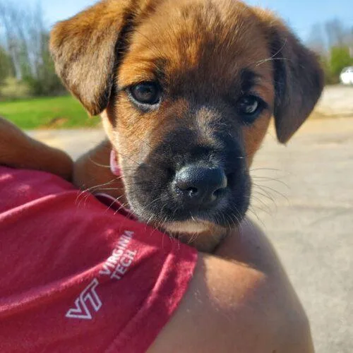 Sally Jane thumbnail 2