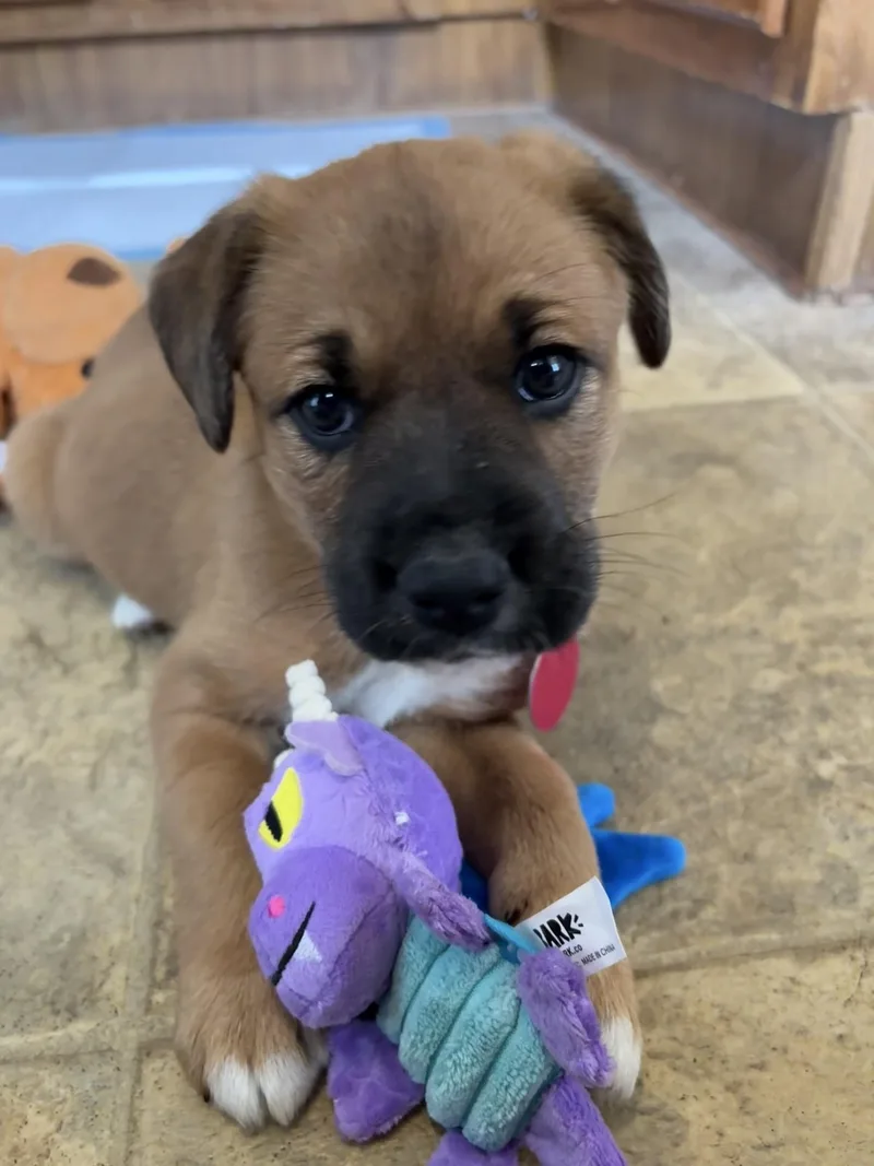 Sally Jane thumbnail 3