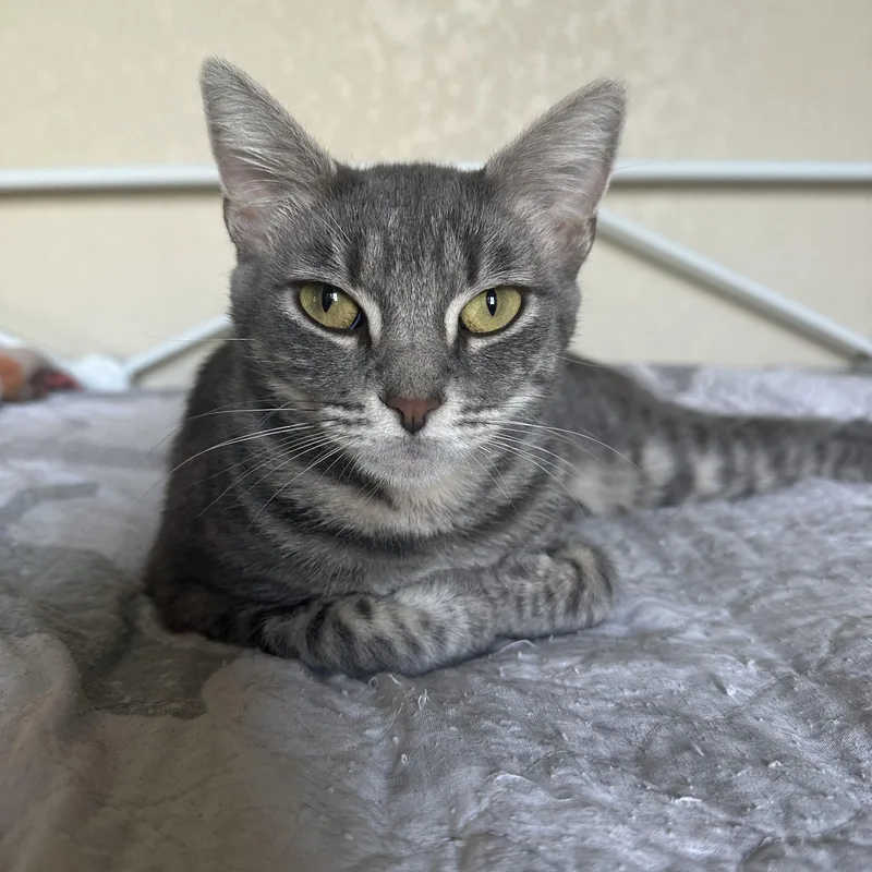 Mama Phoebe And Bindi thumbnail 2