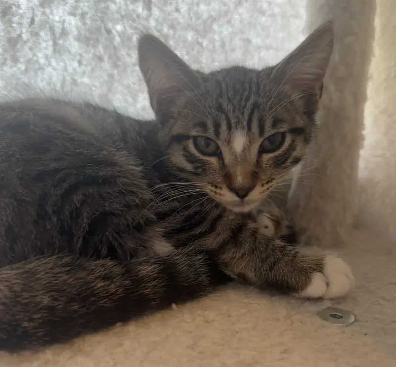 Mama Phoebe And Bindi thumbnail 3