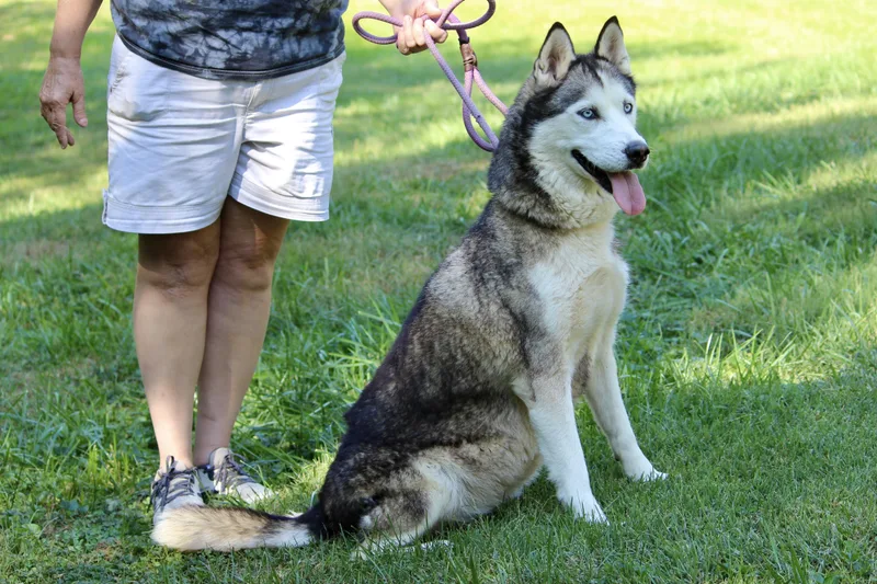 Ernestine thumbnail 2