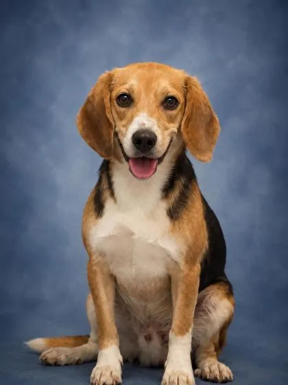 Benny