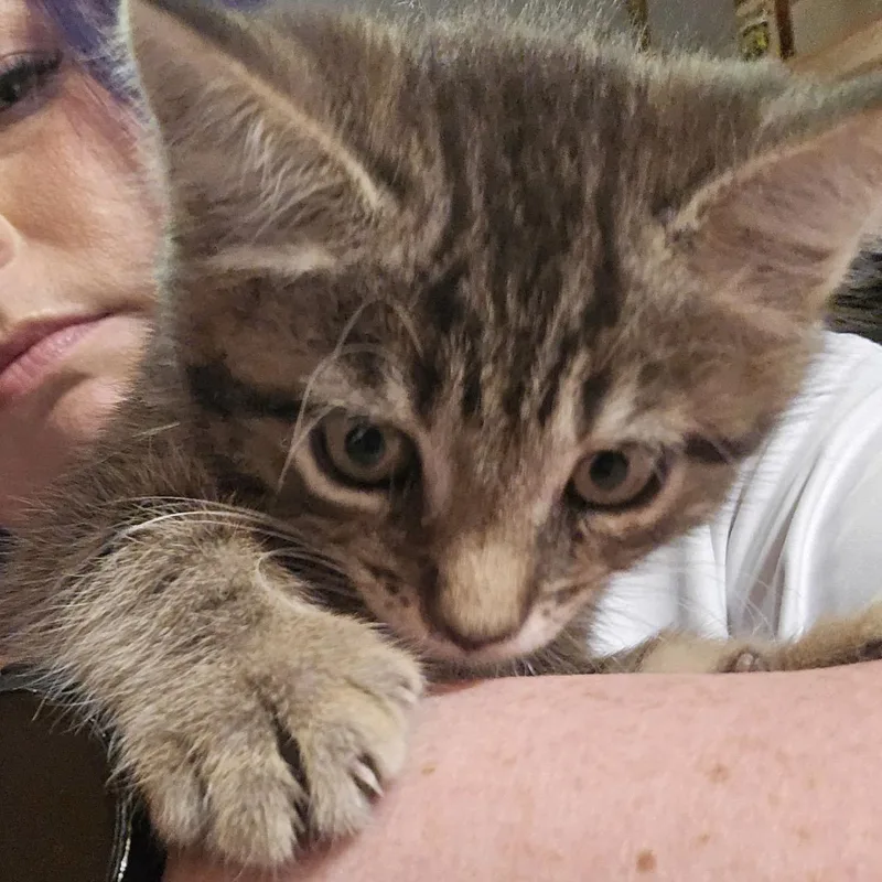 Gina thumbnail 2