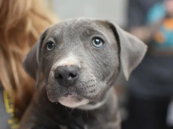 Max