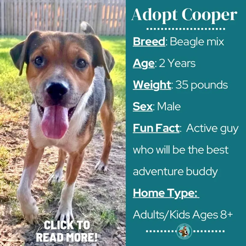 Cooper thumbnail 3