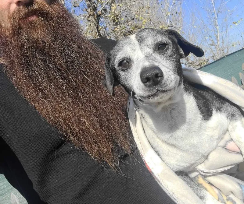 Harvey Feral thumbnail 2