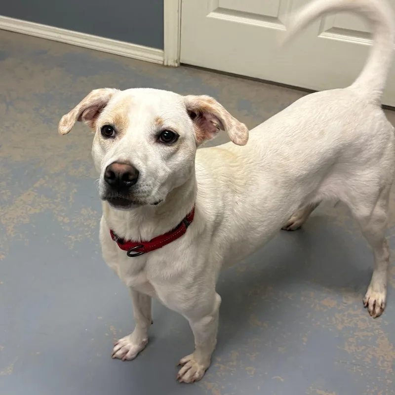 Pheobe Ix thumbnail 3