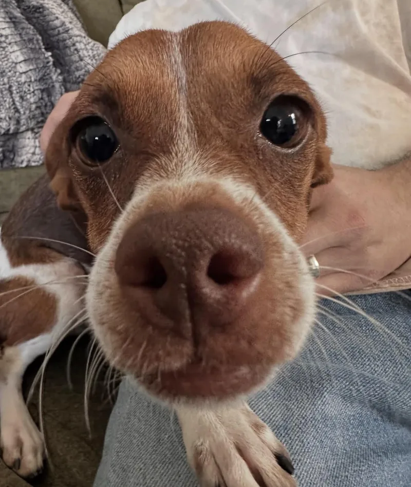 Remy thumbnail 2