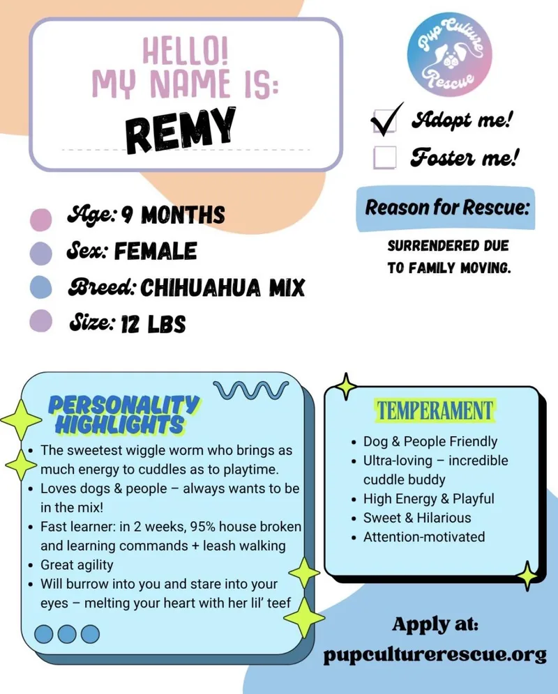 Remy thumbnail 4