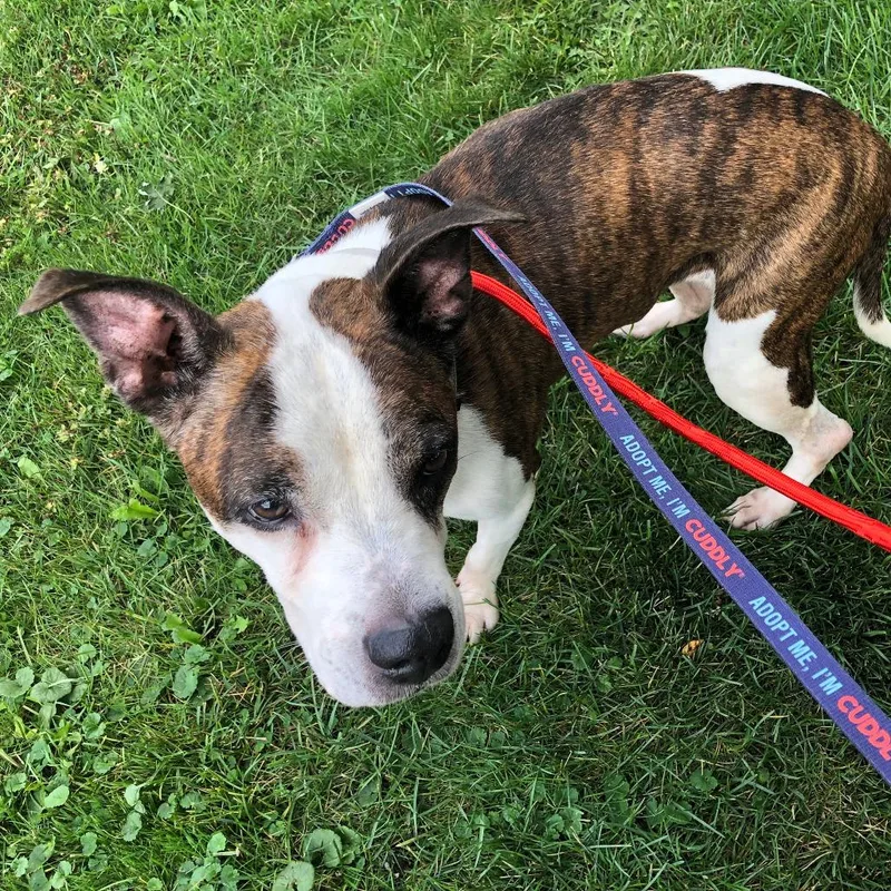 Princess thumbnail 3