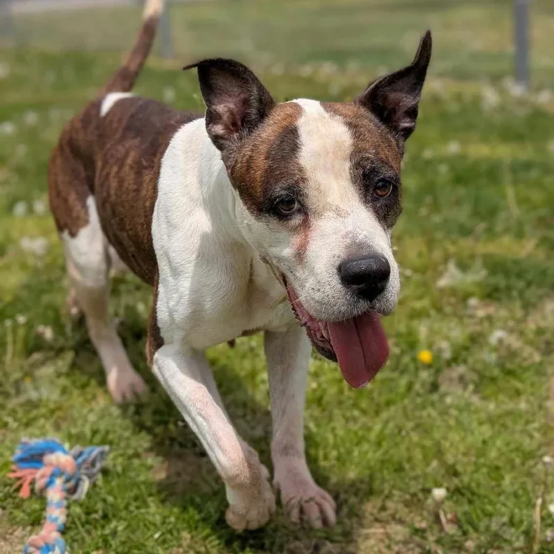 Princess thumbnail 6