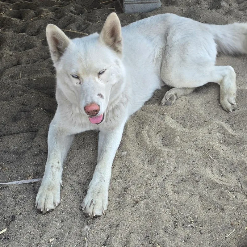 Paula thumbnail 2