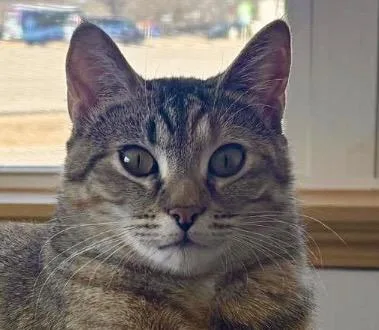 Bella • Sweet Young