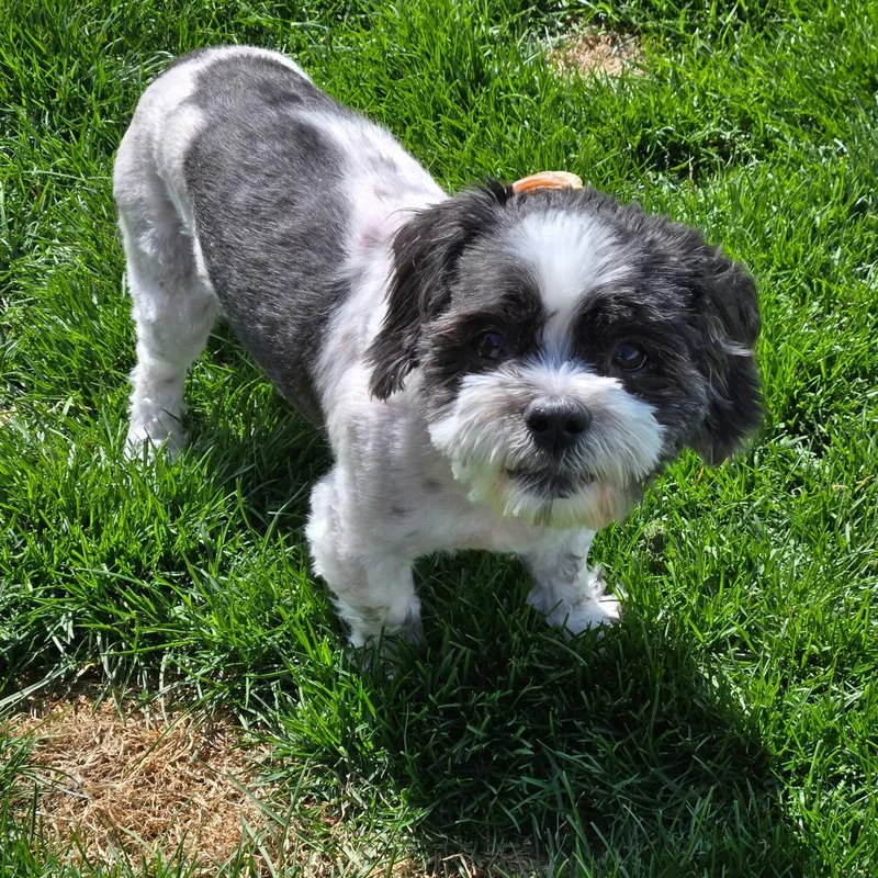 Wuggsley thumbnail 3