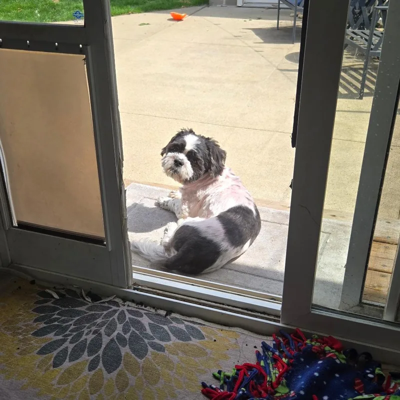 Wuggsley thumbnail 4