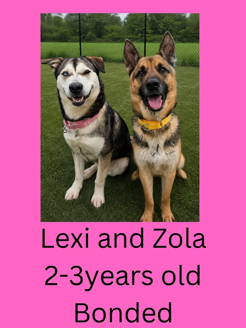 Lexi And Zola