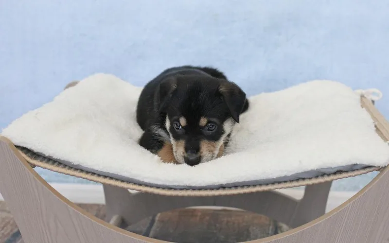 Ethel thumbnail 5