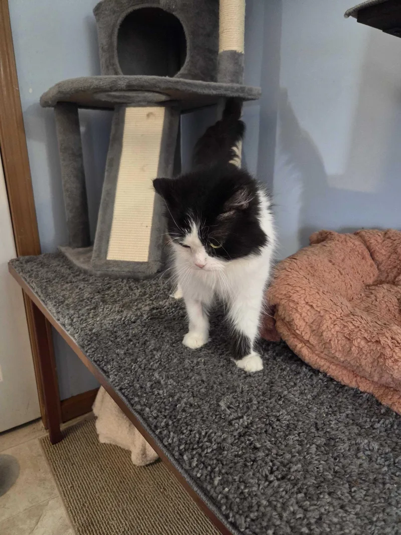 Maria Theresa thumbnail 2