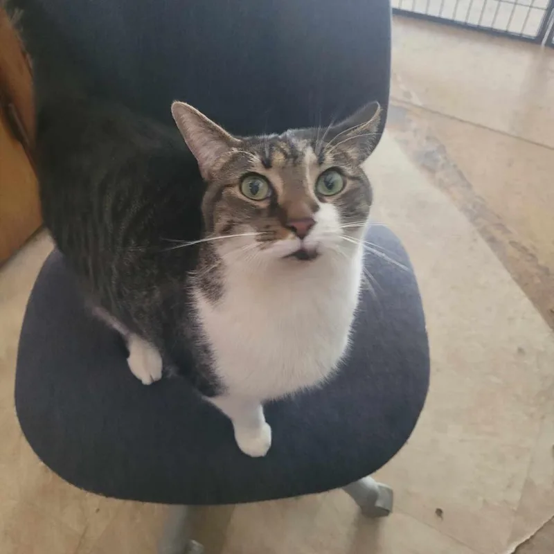 Pretty Boy thumbnail 2