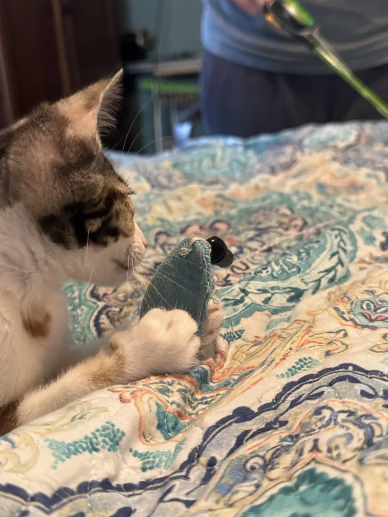 Mary Kate thumbnail 6