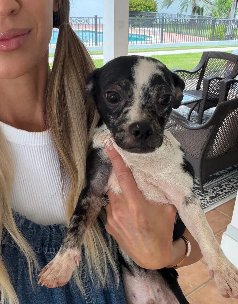 Martie The Mini Bestie thumbnail 5