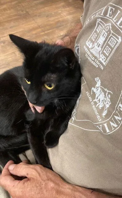 Belle Bonded With Amaya