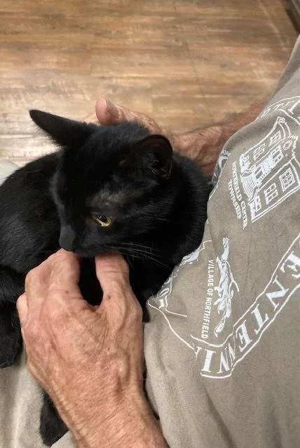 Belle Bonded With Amaya thumbnail 2