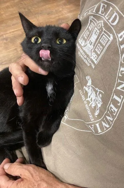 Belle Bonded With Amaya thumbnail 3